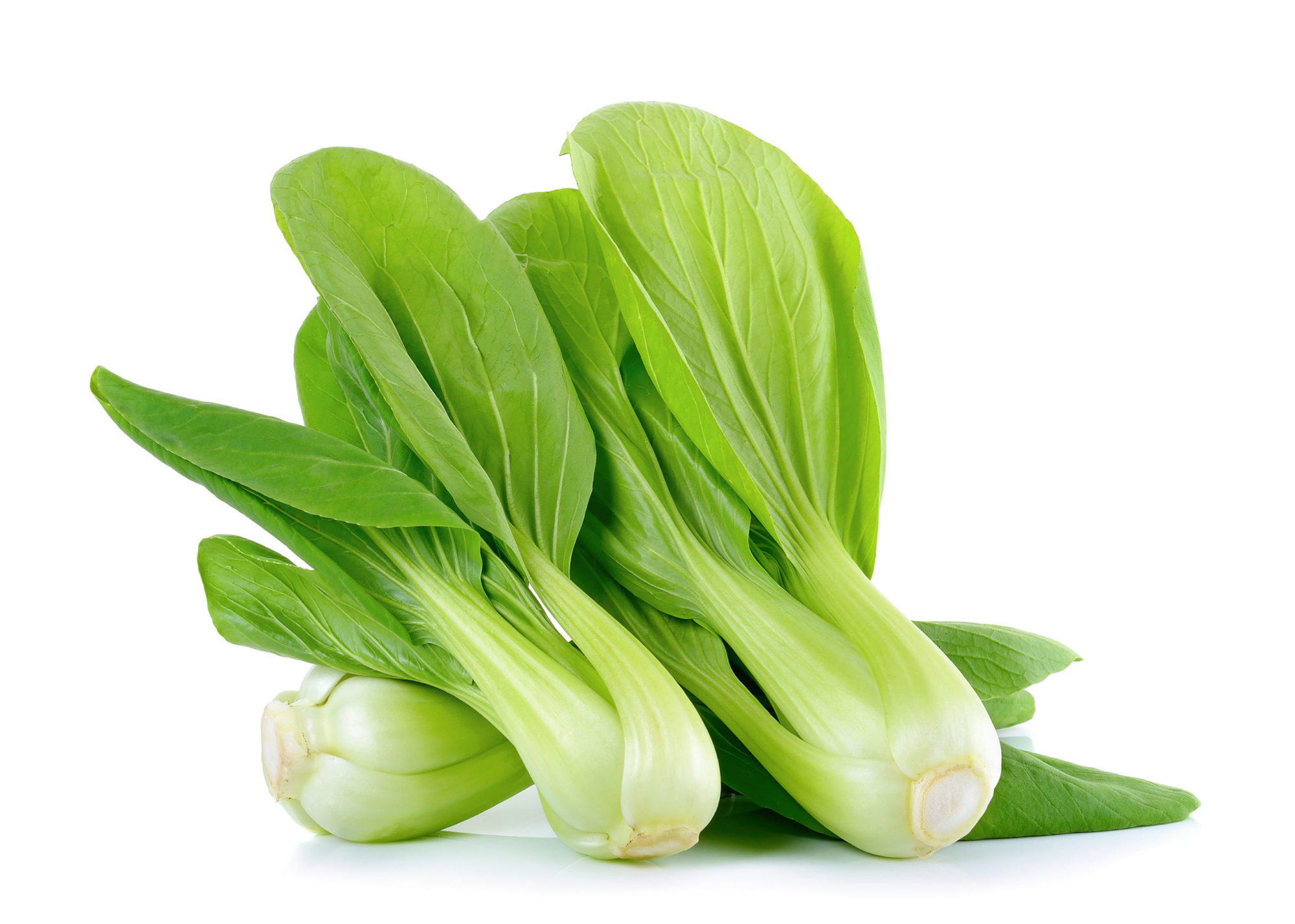 le bok choy